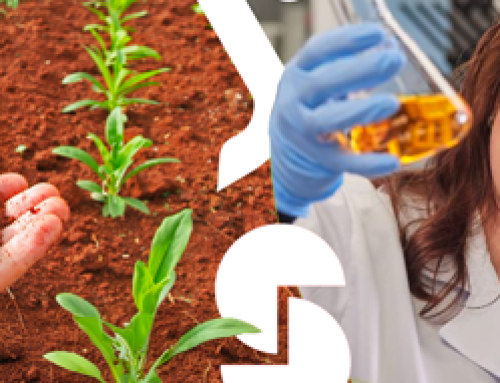 Stepan and Staphyt Announce Strategic Collaboration Agreement to Accelerate Agricultural Innovation in Europe