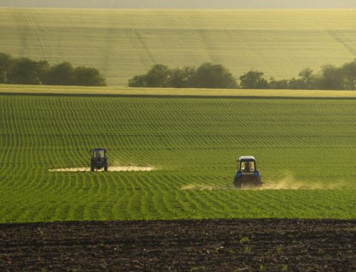 EU moves towards a new Regulation on safeners and synergists