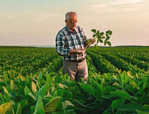 Staphyt and GenoScreen join forces