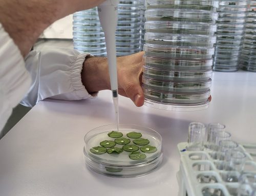 Resistance monitoring: Assessing pathogen sensitivity to active ingredients