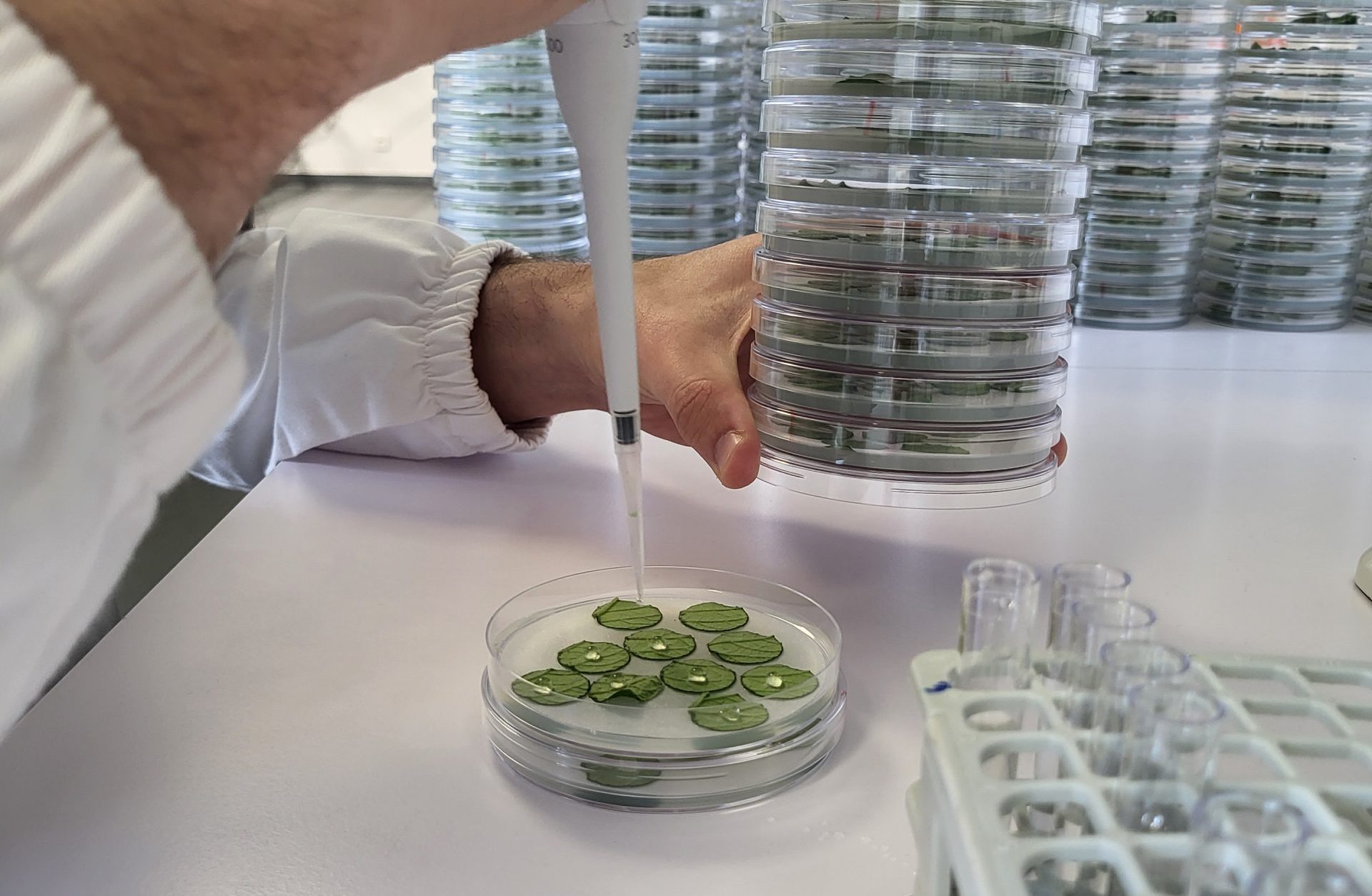 Resistance monitoring: Assessing pathogen sensitivity to active ingredients