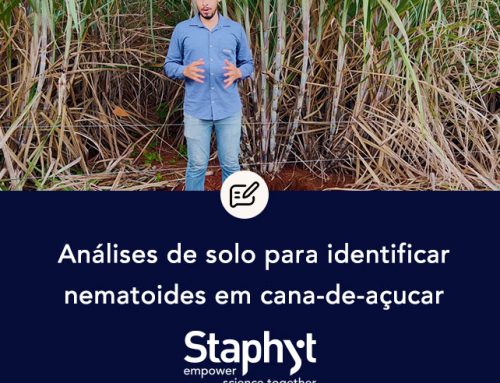 Como preparar e enviar amostras de solo para análise de nematoides na cana-de-açúcar
