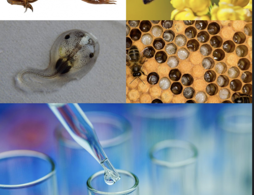 SETAC 2026: discover our 3 scientific posters