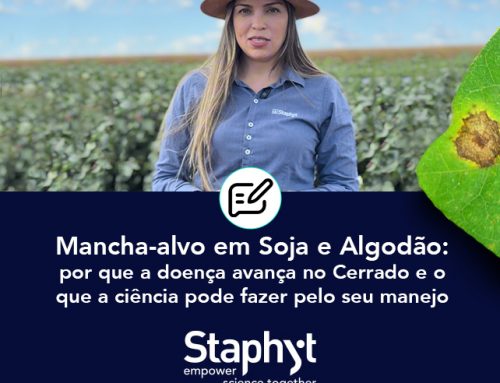 Mancha-alvo em Soja e Algodão: por que a doença avança no Cerrado e o que a ciência pode fazer pelo seu manejo