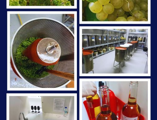 Protecting crops without compromising grape and wine quality: a delicate balancing act