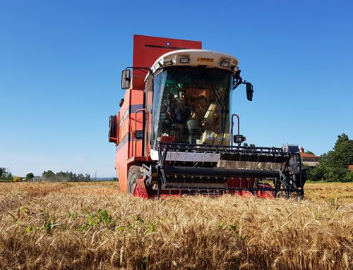 Accélérez vos programmes de sélection grâce à nos capacités élargies en matière de production et de multiplication de semences !