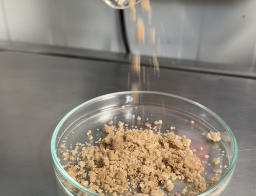 Beet sugar & pesticide residues: what is really left? Secure your regulatory dossiers with high value-added data