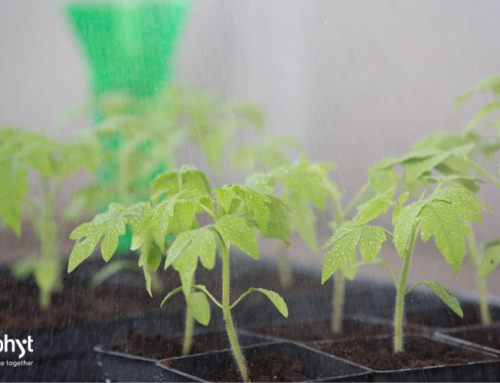How weather-resilient are your fungicidal solutions?