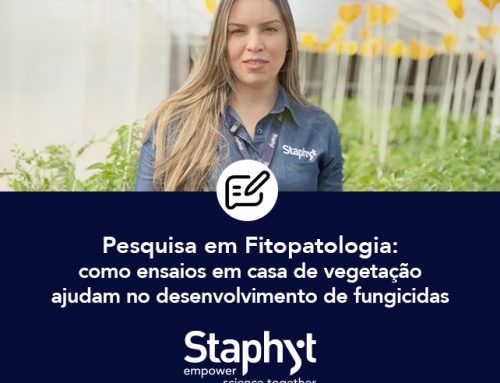 Como ensaios em casa de vegetação ajudam no desenvolvimento de fungicidas