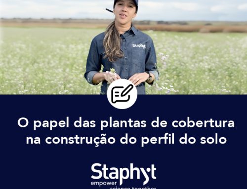 O papel das plantas de cobertura na construção do perfil do solo
