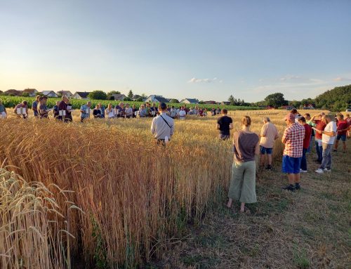 Showcasing the Future of Organic Farming in Germany