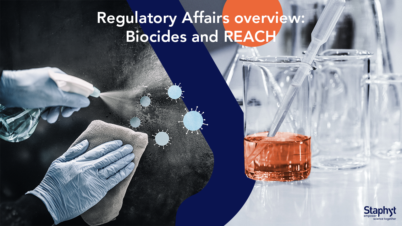 Biocides and REACH Regulatory overview: July 2026