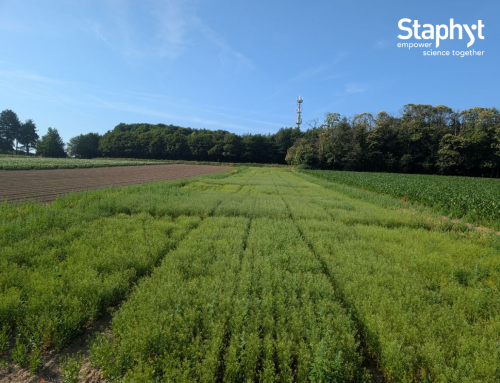 Fueling the Future of Aviation: Agronomic Innovation with Camelina