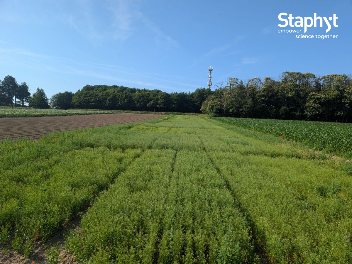Fueling the Future of Aviation: Agronomic Innovation with Camelina