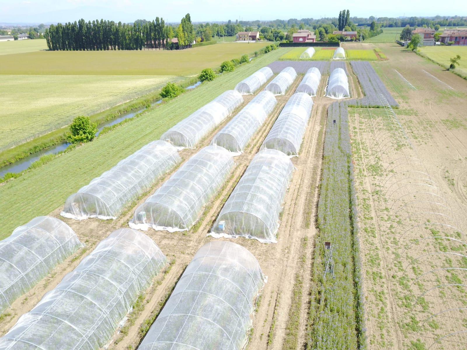 Semi-field tunnels