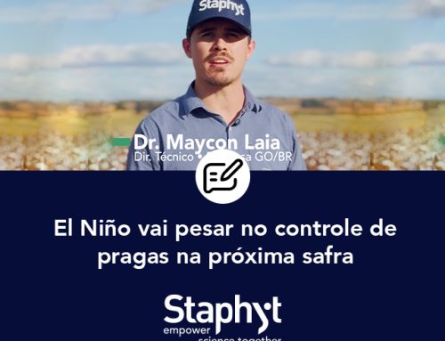 El Niño vai pesar no controle de pragas na próxima safra
