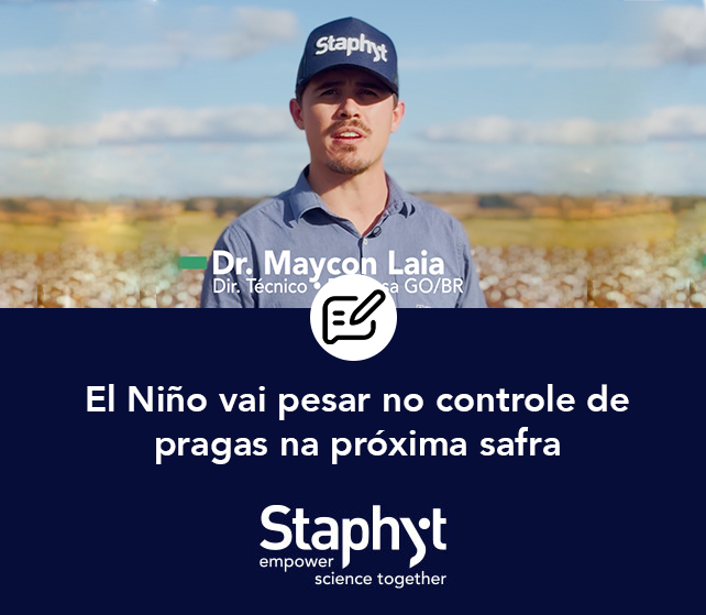 El Niño vai pesar no controle de pragas na próxima safra