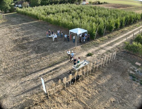 Welcome Végéphyl: Advancing the Future of Field Experimentation Together! 