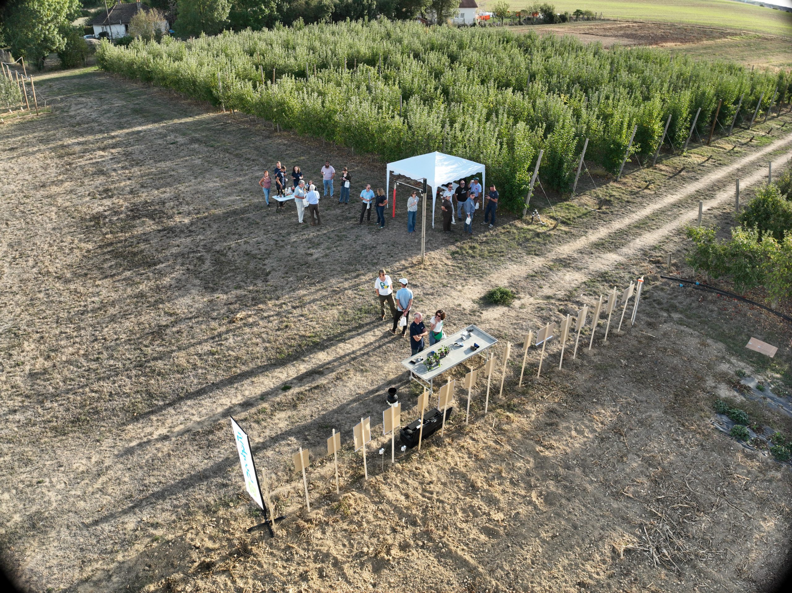Welcome Végéphyl: Advancing the Future of Field Experimentation Together!